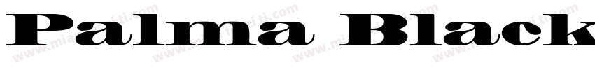 Palma Black SSi Extr字体转换